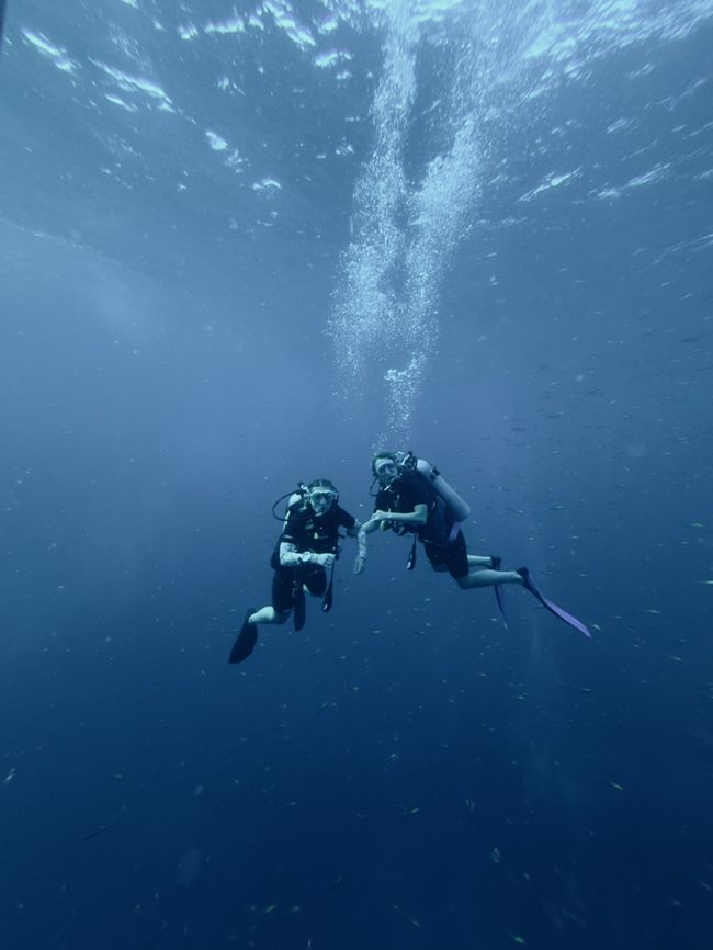Sprachschüler beim Tauchen